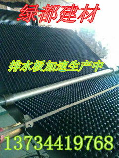海南綠都建材排水板廠(chǎng)家直銷(xiāo) 規(guī)格齊全，高清圖片展示